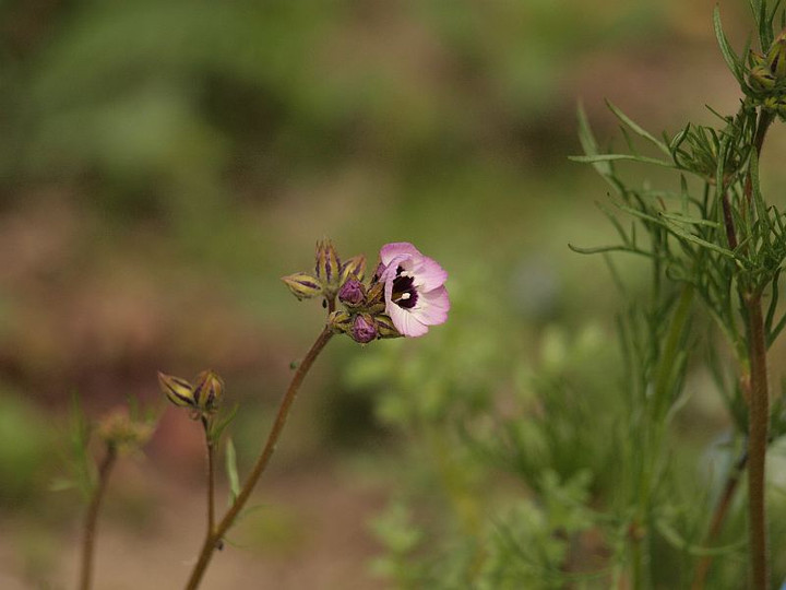 P3268523
