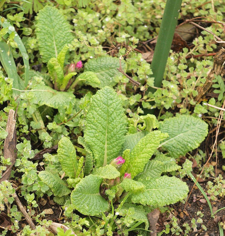 P3288570