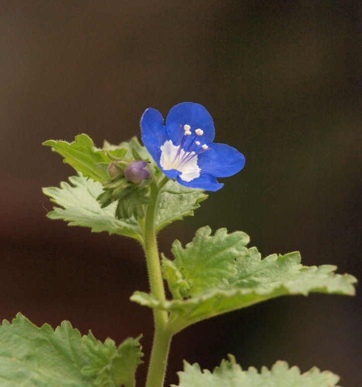 P3298757