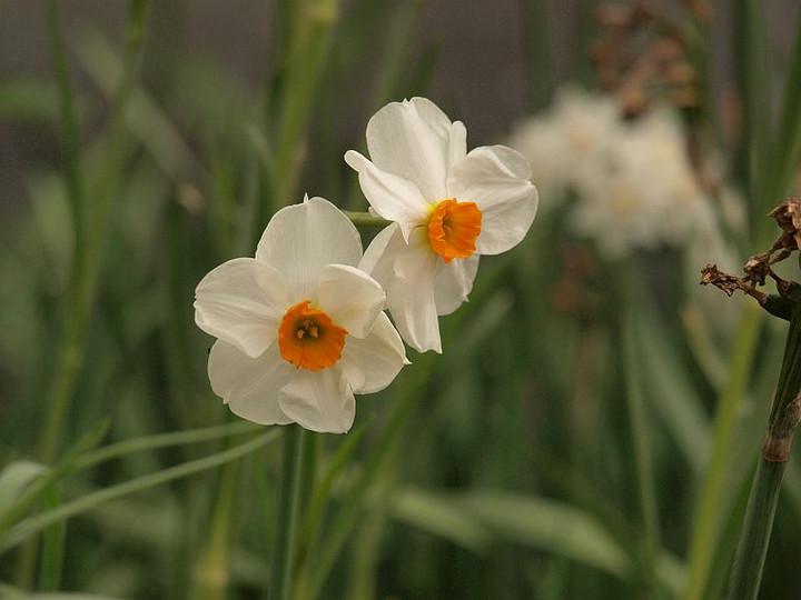 P3298785