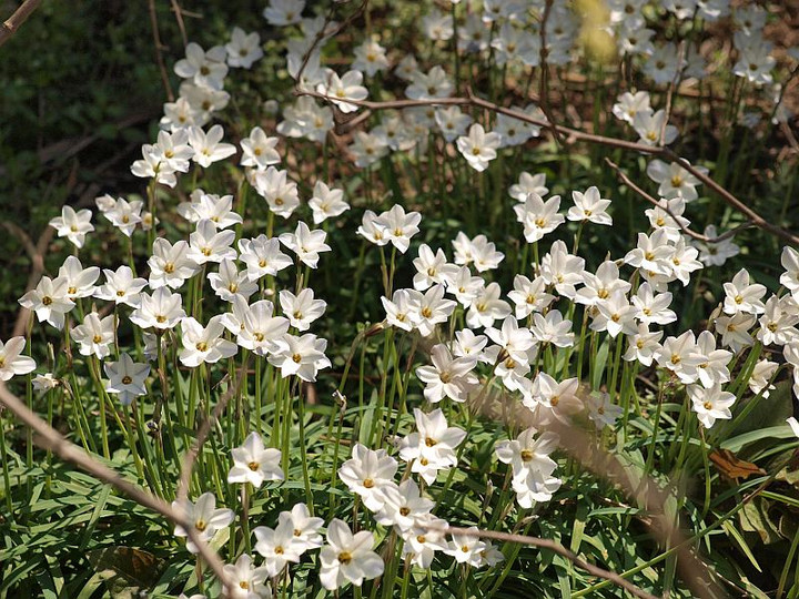 P4039304