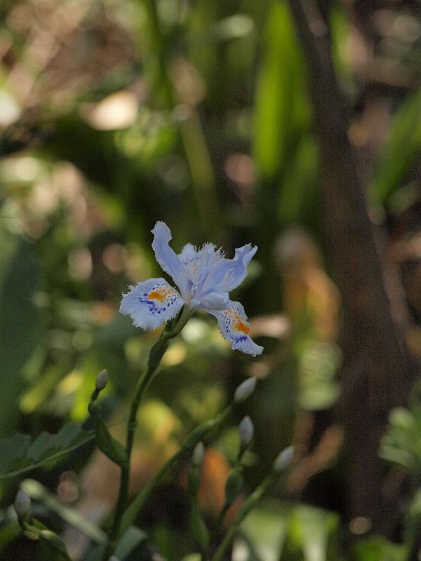 P4099704