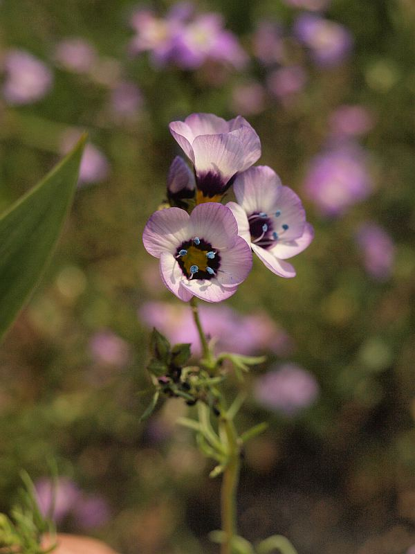 P4110002