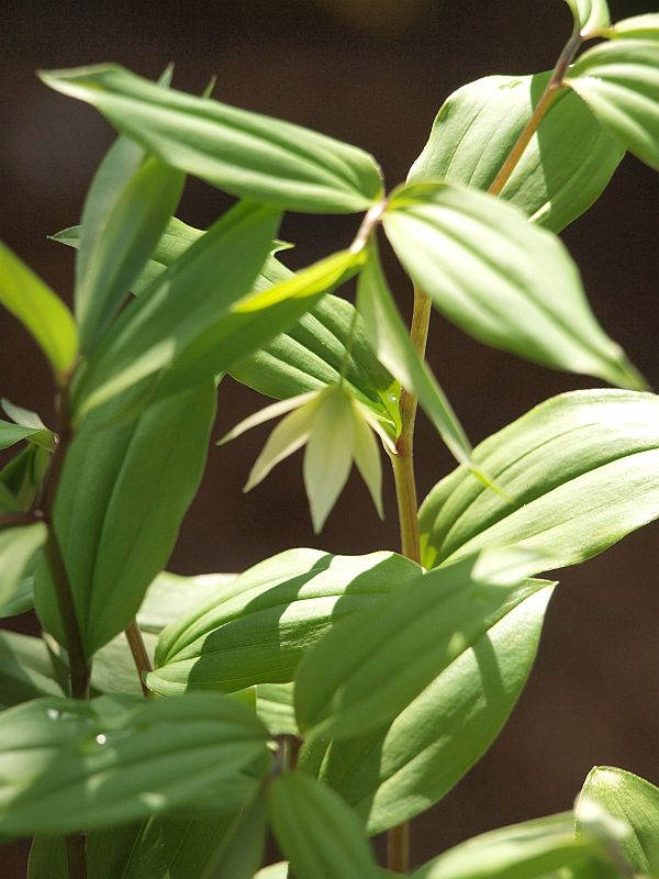 P4150731