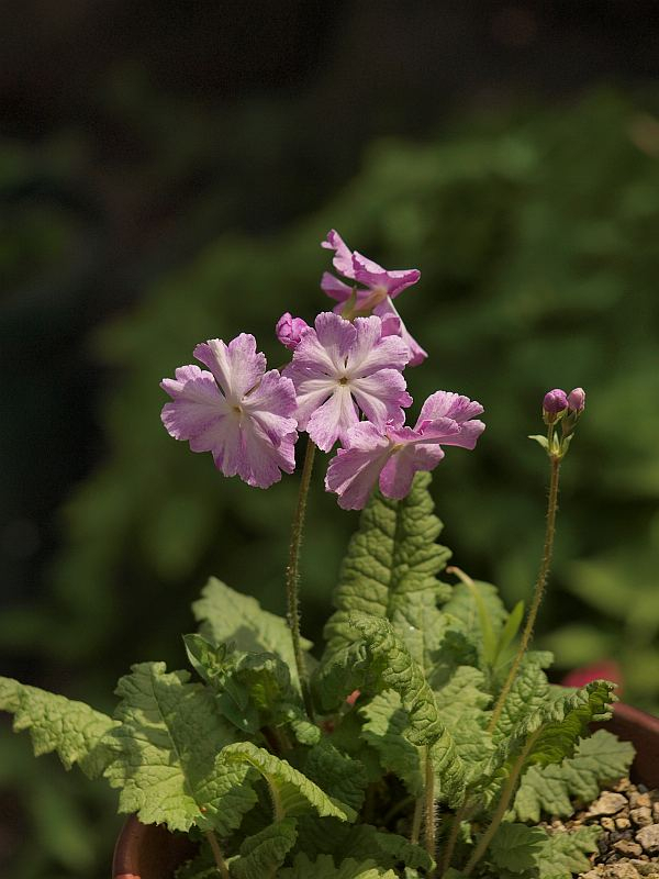 P4160966