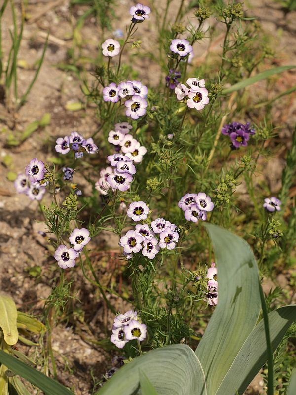 P4160971