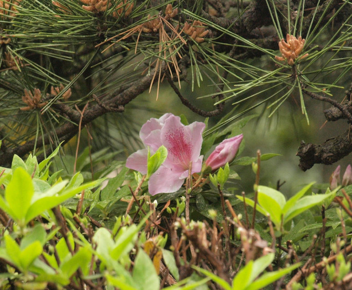 P4171043