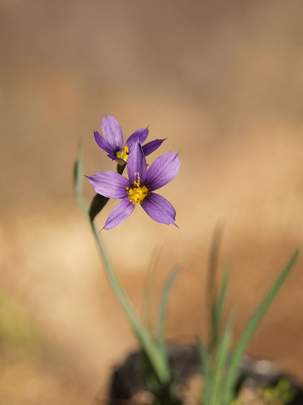P4282024