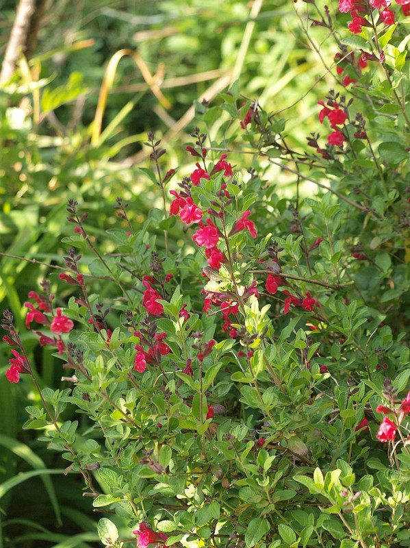 P4282030