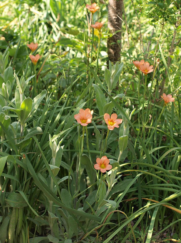 P4282032