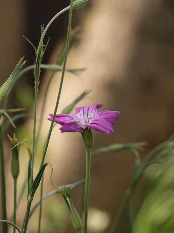 P5012166