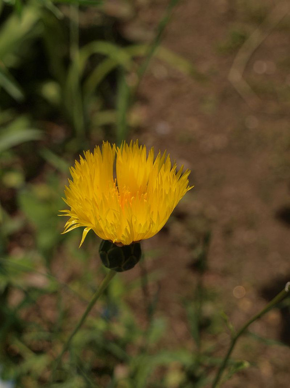P5032487