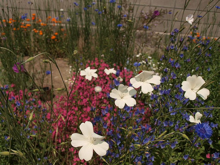 P5032501