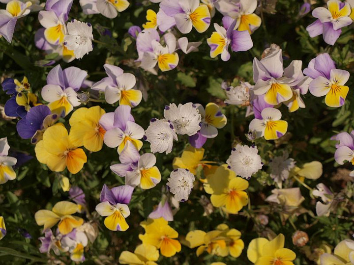 P5032503