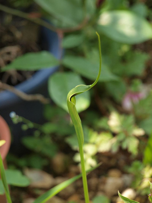 P5032510