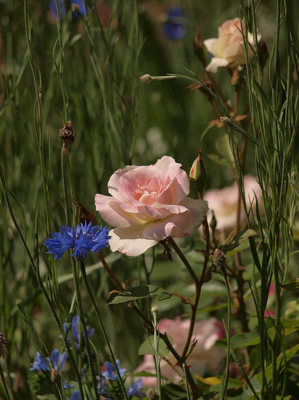 P5123483