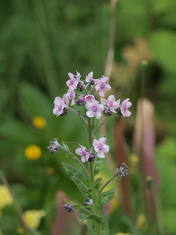 P5164553