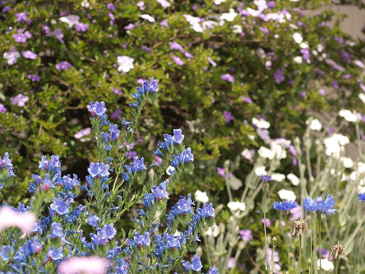 P5174596