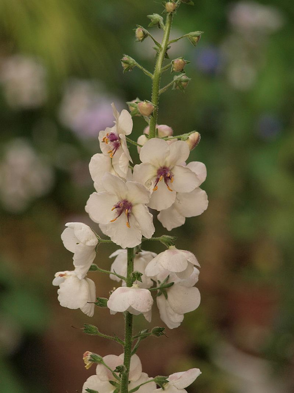 P5234987