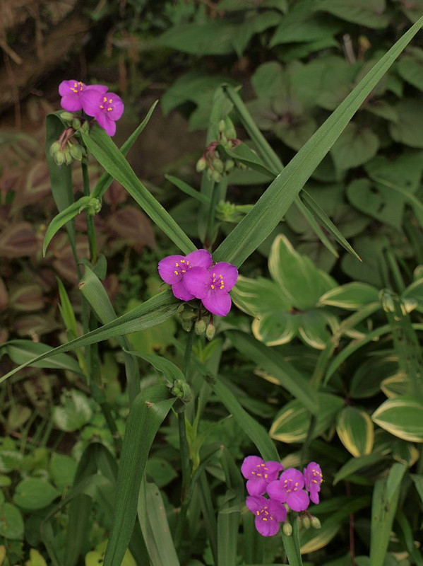 P5234995