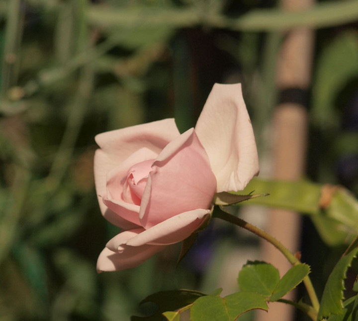 P5255114