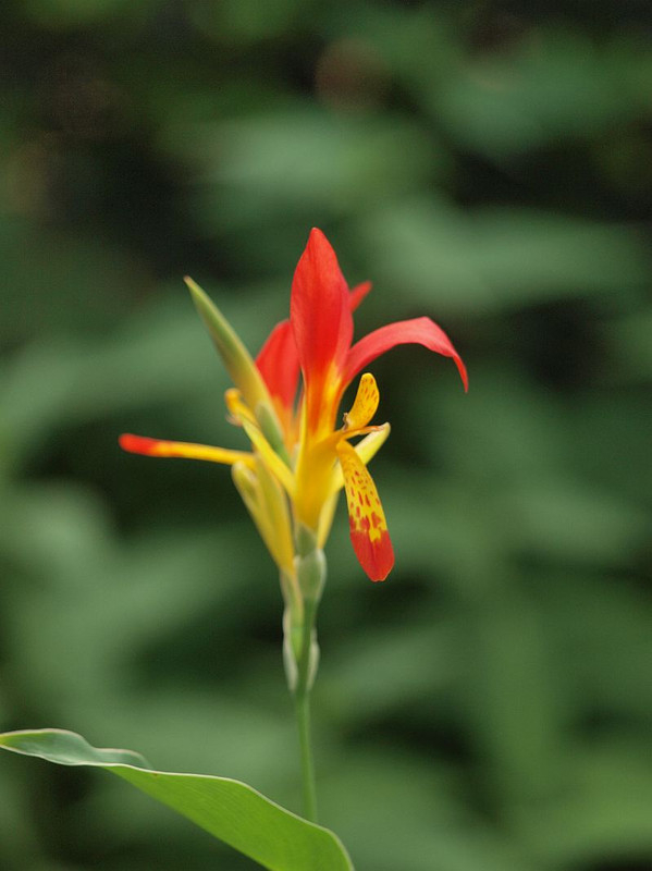 P5305803