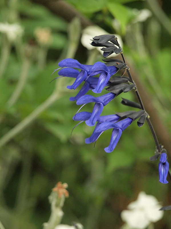 P5305812