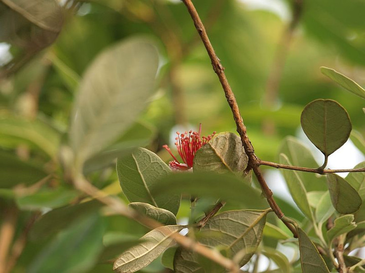 P5305826