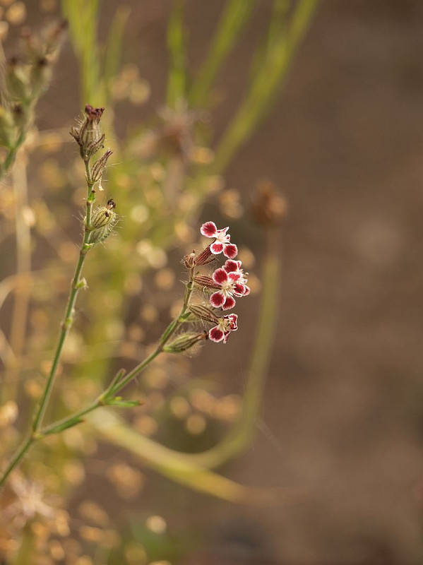 P5315942