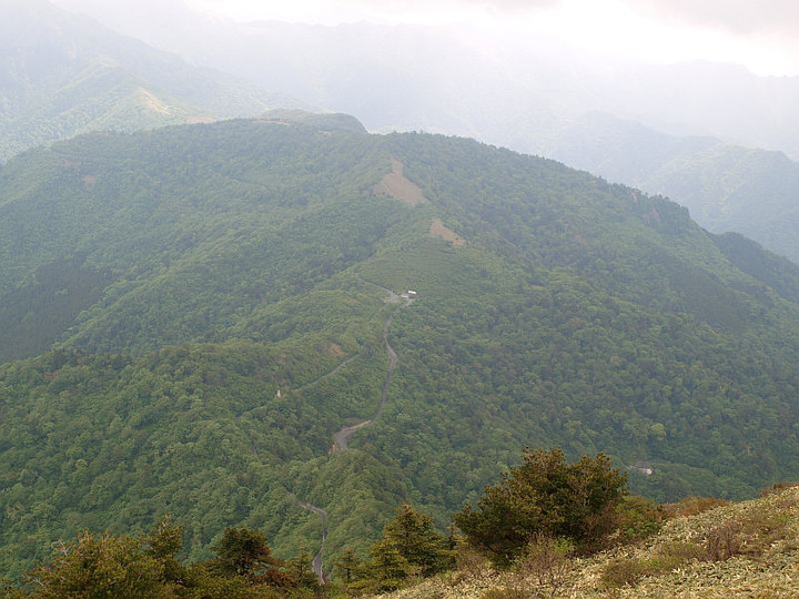 P5265355yosakoitouge