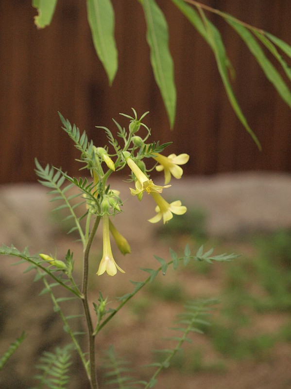 P6015970