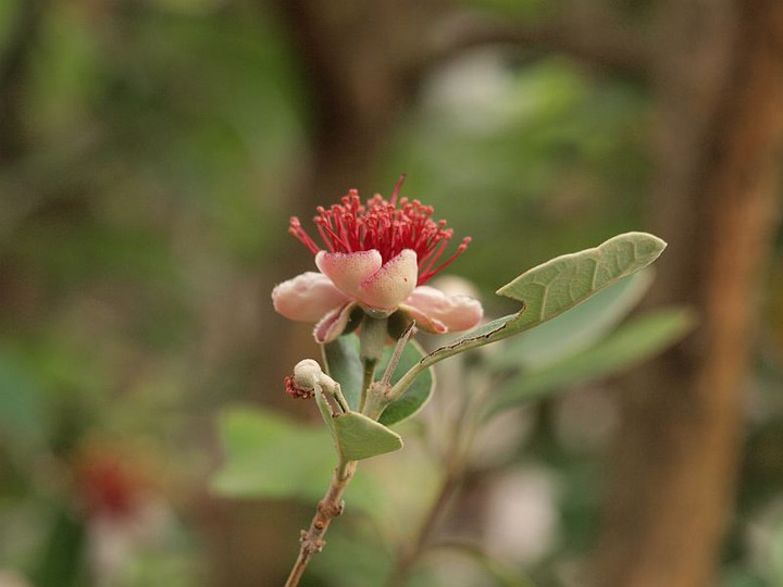 P6036418