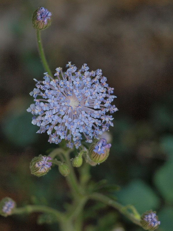 P6046447