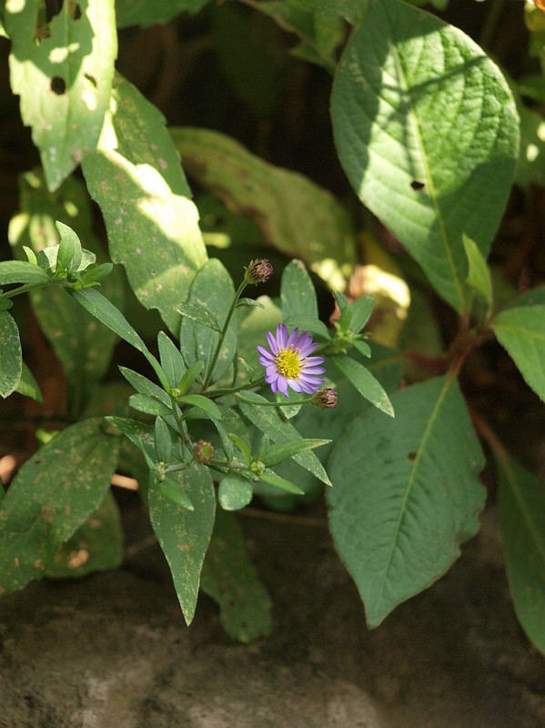 P6046463