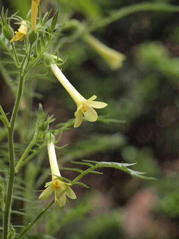 P6056675