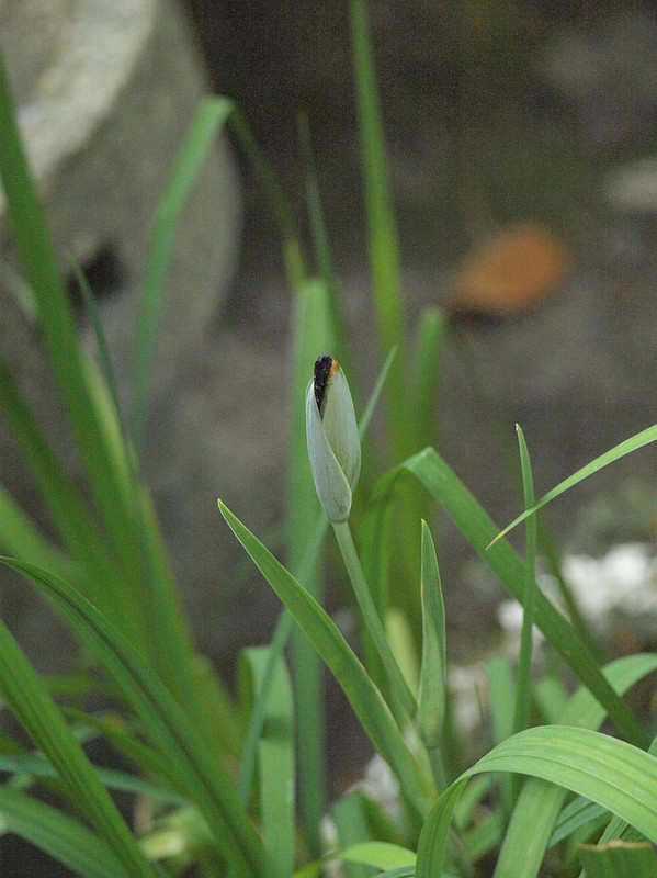 P6076739