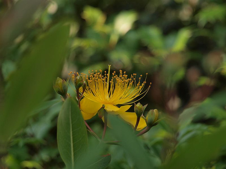 P6076742
