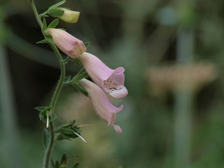 P6076748