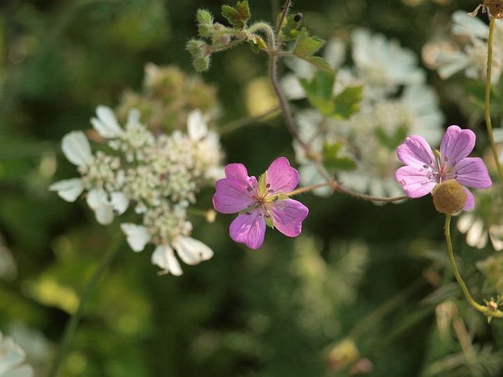 P6076755