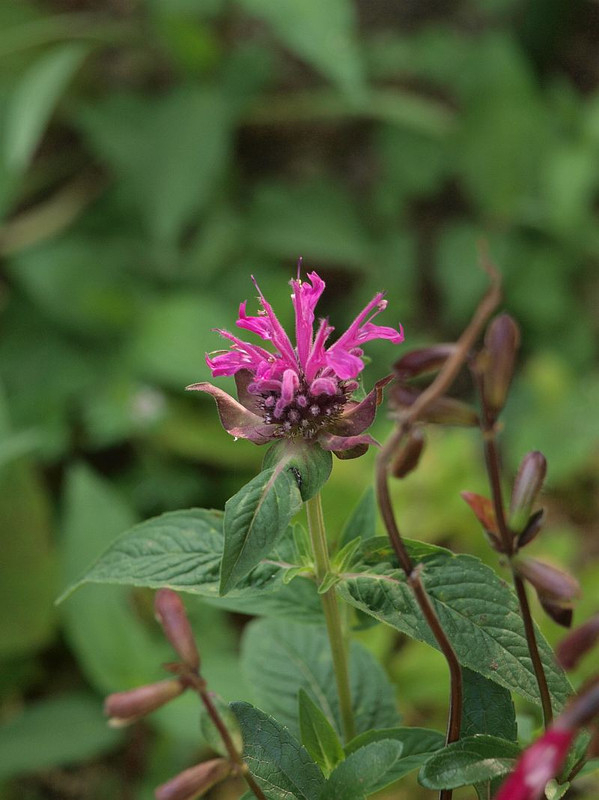 P6076757