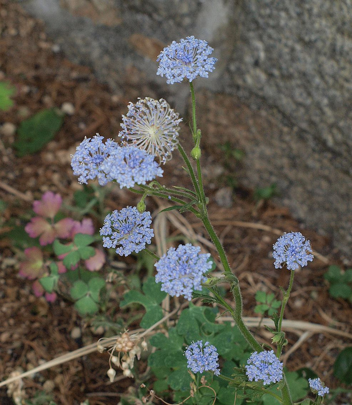 P6076766