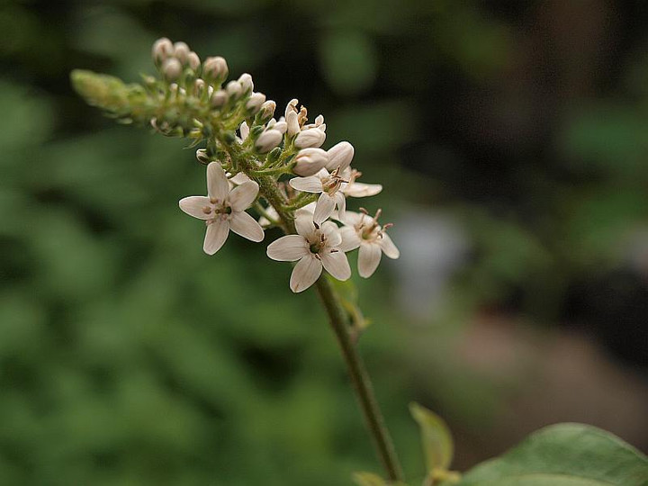 P6097142
