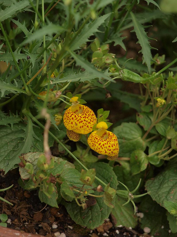 P6107181
