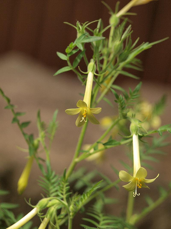 P6137211