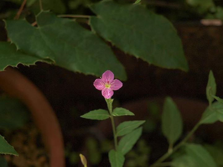 P6137219