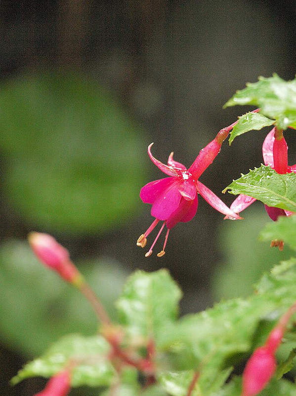 P6207610