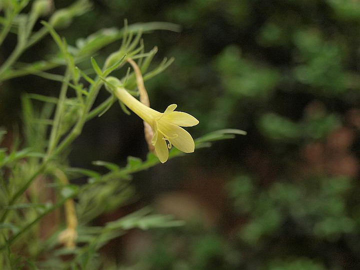 P6257749