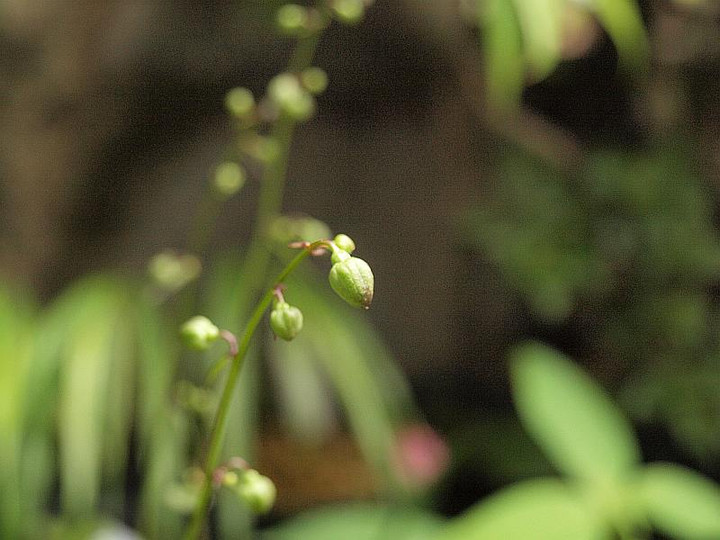 P6257750