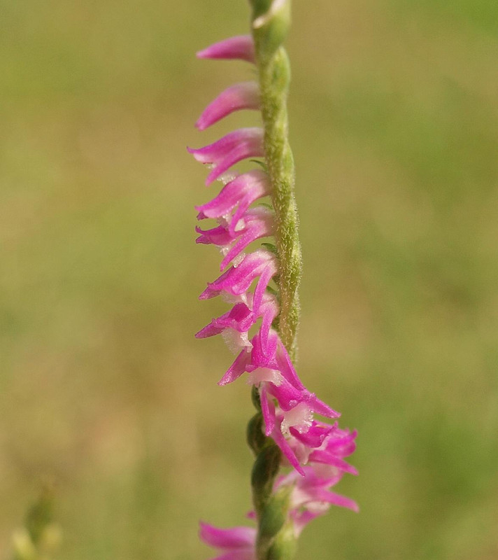 P6257764