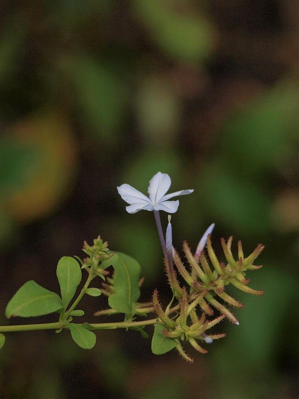 P6287813